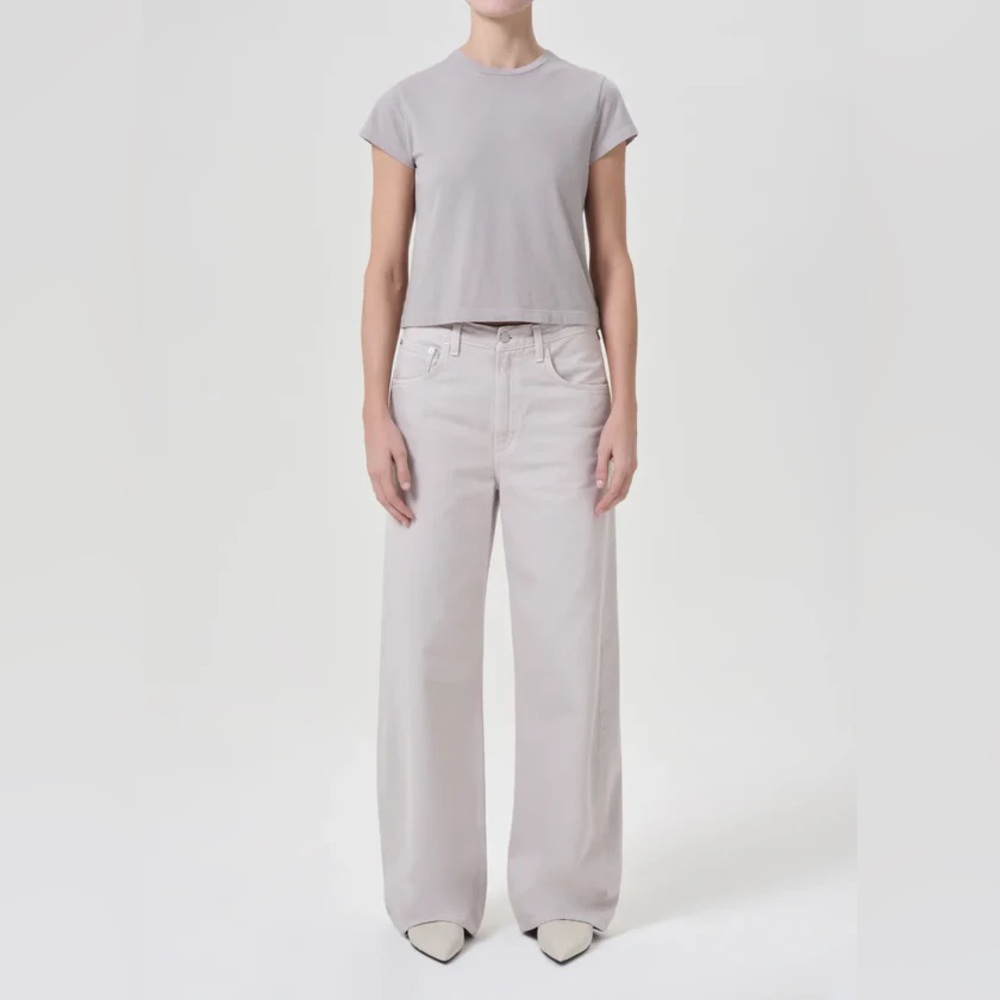 NEW w TAGS AGOLDE Low Curve Barrel Jeans Sz 29 SOFT FOCUS Light Gray $258 ECO